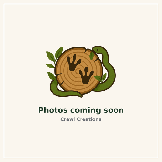 Crawl Creations - product photo coming soon