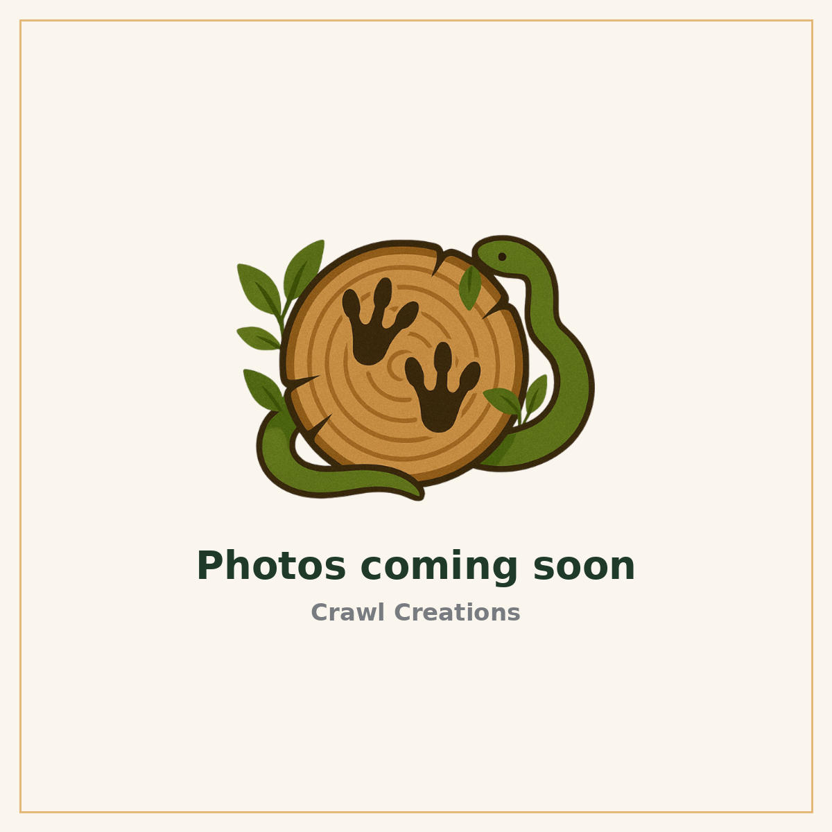Crawl Creations - product photo coming soon