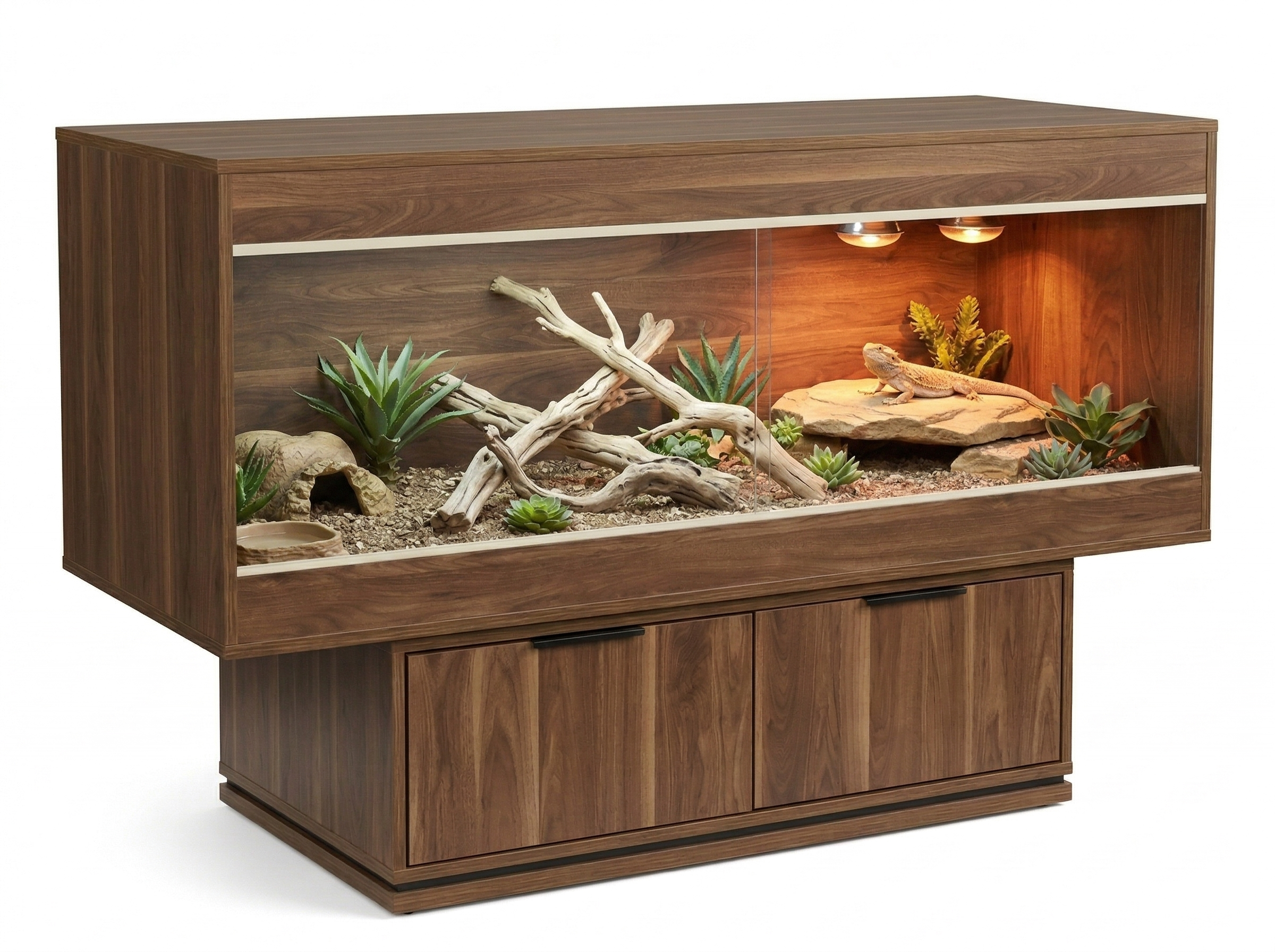 Bearded dragon in a 6x2x2 California Walnut enclosure