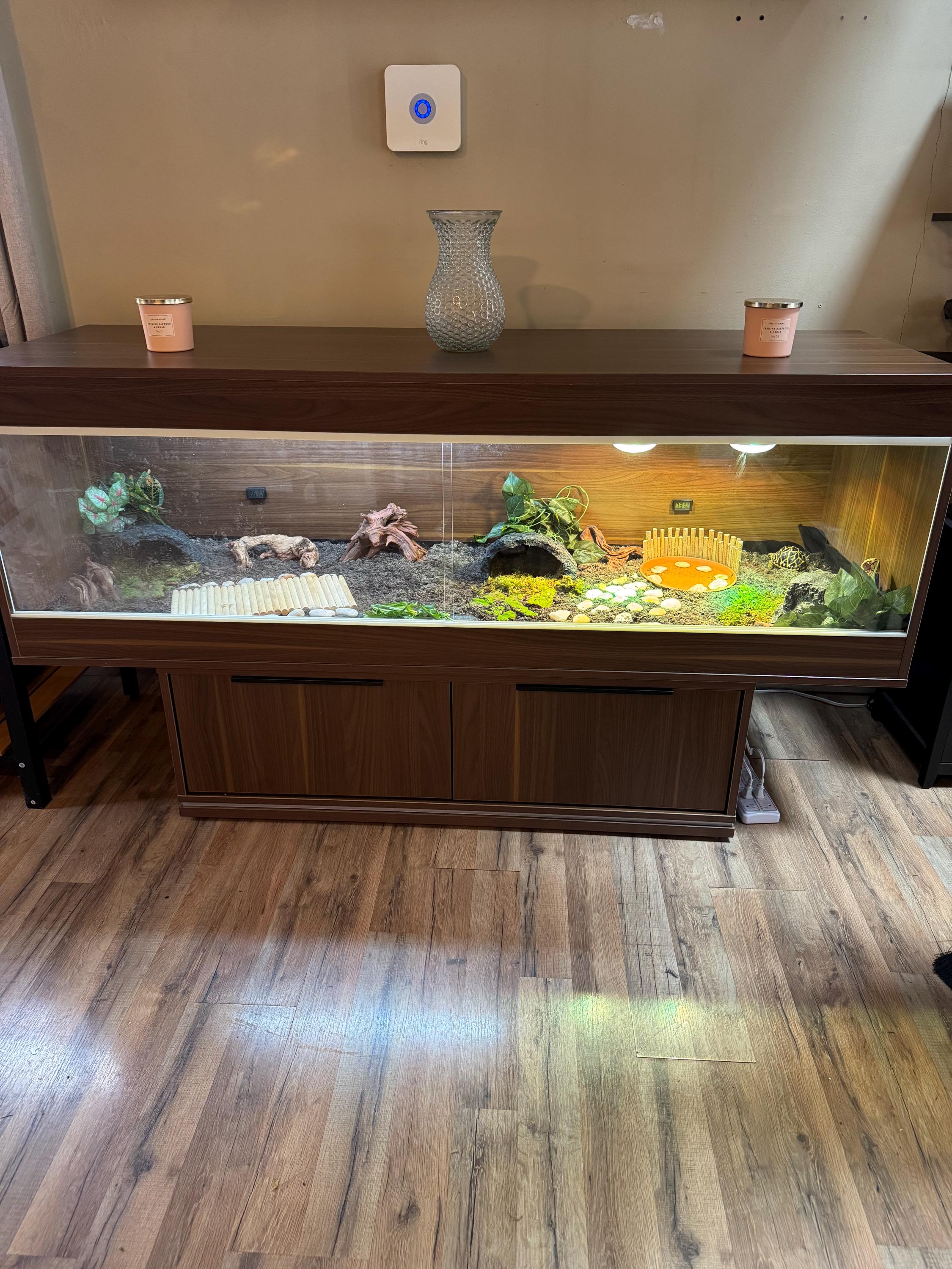 Tortoise habitat enclosure
